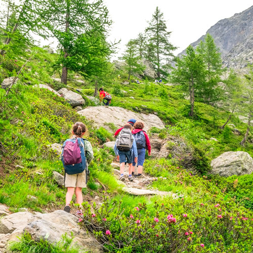 Trekking Camp